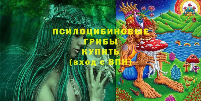 Псилоцибиновые грибы Psilocybe  купить закладку  omg ONION  Гороховец 